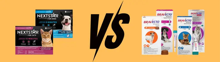 Bravecto Vs NextStar Quick Comparison