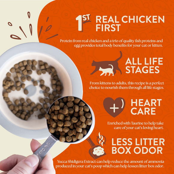Earthborn Holistic Primitive Feline Grain-Free Dry Cat  Food