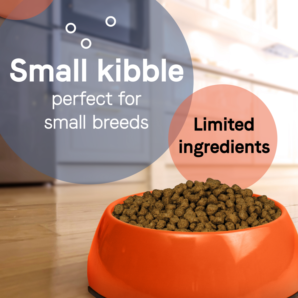 Canidae Pure Petite Premium Recipe with Chicken and Wholesome Grains Dry Dog Food