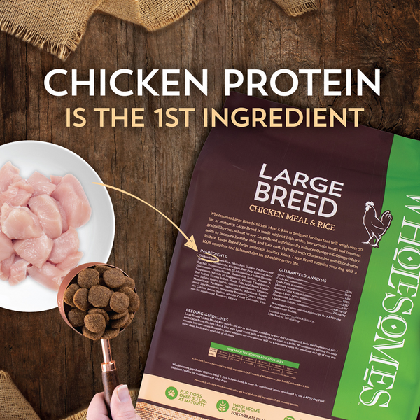 Wholesomes Large Breed Chicken Meal & Rice Recipe Dry Dog Food