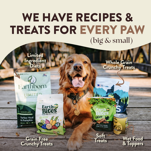 Earthborn Holistic Primitive Natural Turkey Meal & Vegetables Grain Free Dry Dog Food