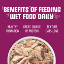 Weruva Mideast Feast With Grilled Tilapia Canned Cat Food