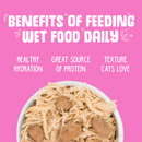 Weruva Amazon Livin' Canned Cat Food