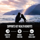 ORIJEN High Protein Amazing Grains Large Breed Puppy Dry Dog Food