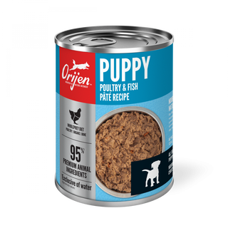 ORIJEN Puppy Recipe, Poultry & Fish Pate, Grain-free, Premium Wet Dog Food