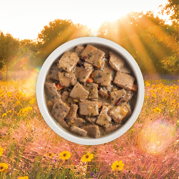 ACANA Premium Chunks Grainfree Duck Recipe in Bone Broth Wet Dog Food