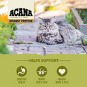 ACANA Highest Protein Grasslands Dry Cat Food