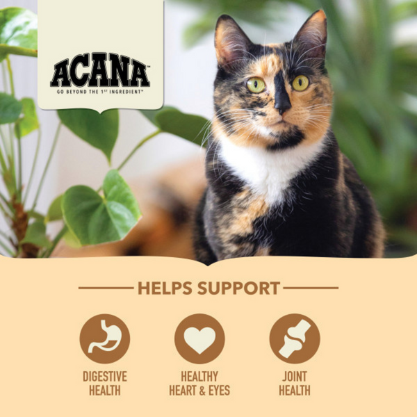 ACANA Senior Entre, Chicken, Turkey, and Duck, Dry Cat Food