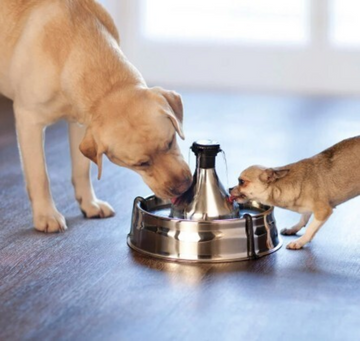PetSafe Drinkwell 360 Stainless Steel Fountain
