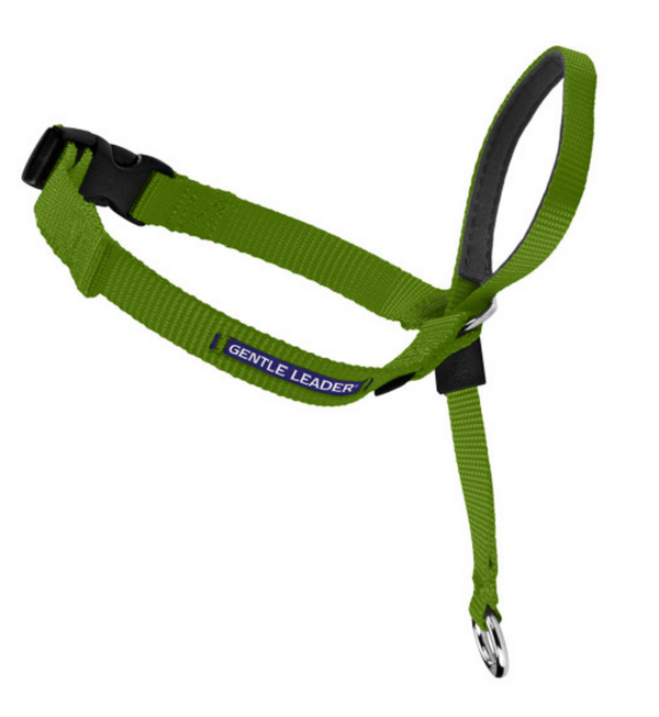 Petsafe Gentle Leader Quick Release Green Apple Headcollar for Dogs