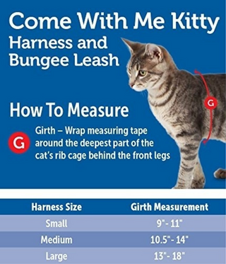 PetSafe Come with Me Kitty Black & Silver Harness and Bungee Leash for Cats