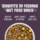 Weruva Steak Frites with Beef, Pumpkin & Sweet Potato in Gravy Canned Dog Food
