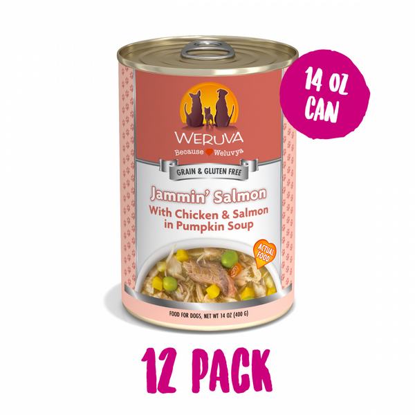 Weruva Jammin Salmon with Chicken & Salmon in Pumpkin Soup Canned Dog Food