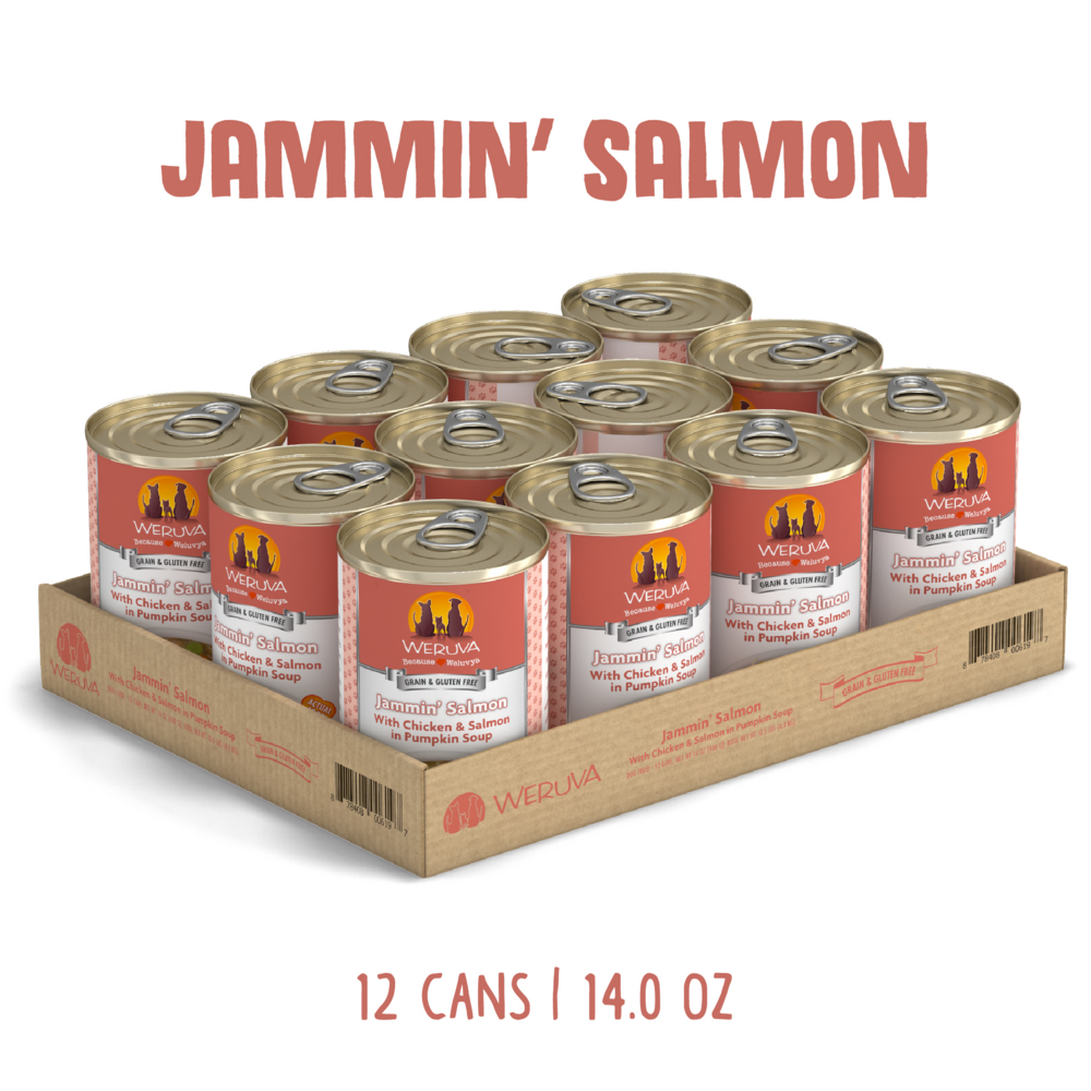 Weruva Jammin Salmon with Chicken & Salmon in Pumpkin Soup Canned Dog Food