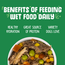 Weruva Cirque de la Mer with Tuna & Veggies in Pumpkin Soup Canned Dog Food