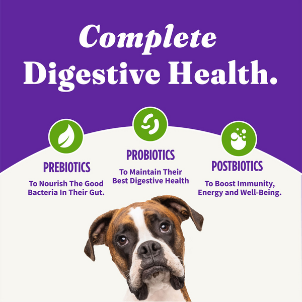 Halo Holistic Adult Dog Vegan Plant-Based Recipe with Superfoods Dry Dog Food