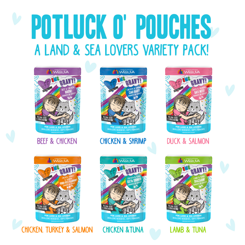 Weruva Grain Free BFF OMG Potluck O' Pouches Variety Pack Cat Food Pouches