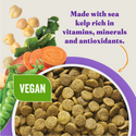 Halo Holistic Vegan Dog Food Complete Digestive Health Plant-Based Recipe with Kelp Adult Formula Dry Dog