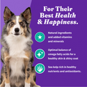 Halo Holistic Vegan Dog Food Complete Digestive Health Plant-Based Recipe with Kelp Adult Formula Dry Dog