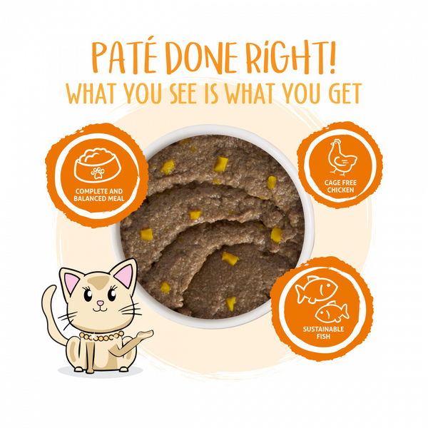 Weruva Classic Cat Pate Who wants to be a Meowionaire with Chicken & Pumpkin Canned Cat Food