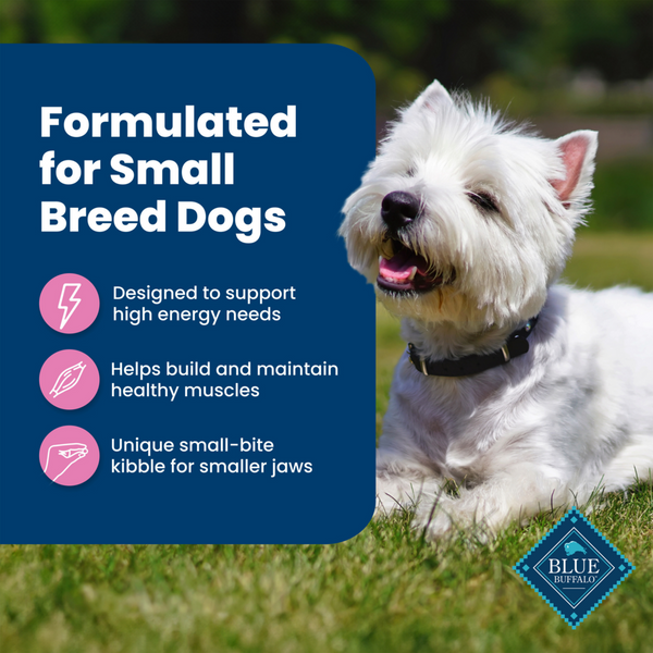 Blue Buffalo Life Protection Formula Small Breed Adult Chicken & Brown Rice Recipe Dry Dog Food