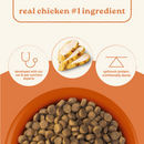 Canidae All Life Stages Dry Dog Food, Real Chicken & Ancient Grains Recipe