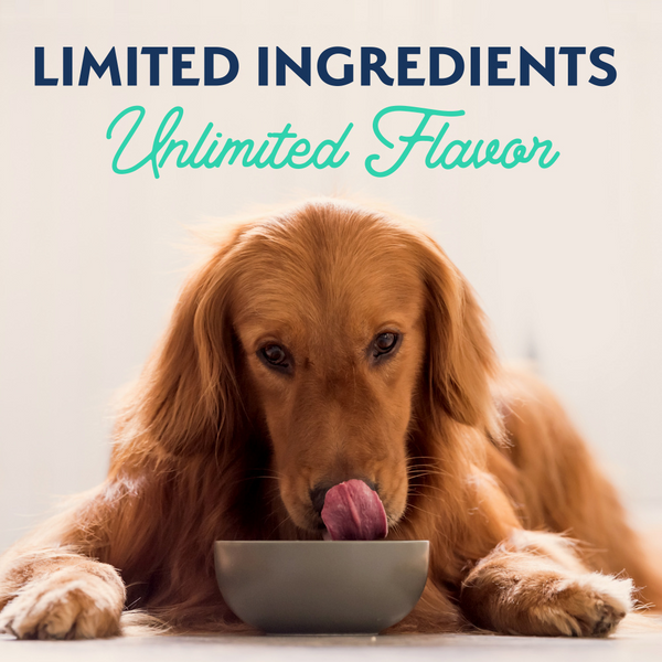 Natural Balance Limited Ingredient Grain Free Chicken & Sweet Potato Recipe Wet Canned Dog Food