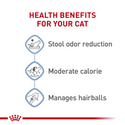 Royal Canin Feline Health Nutrition Indoor Adult Dry Cat Food