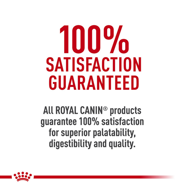 Royal Canin Feline Health Nutrition Sensitive Digestion Dry Cat Food