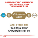 Royal Canin Breed Health Nutrition Chihuahua Adult Dry Dog Food