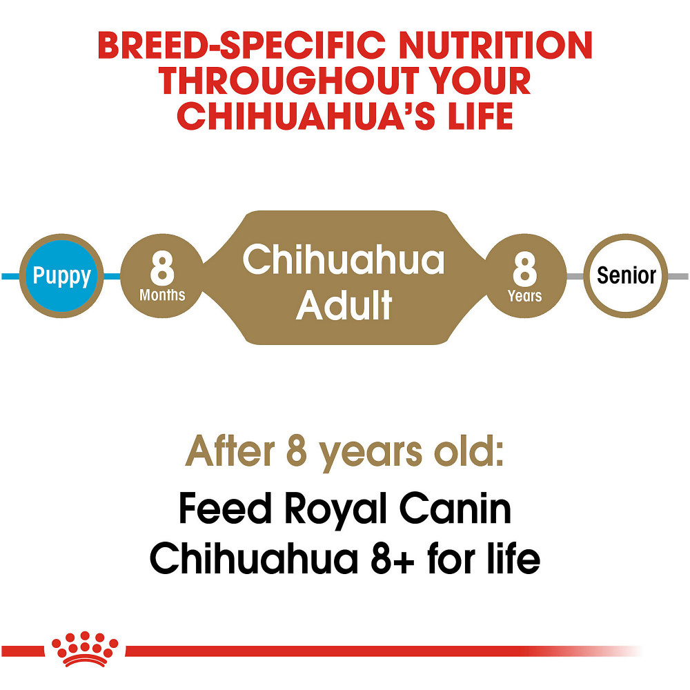 Royal Canin Breed Health Nutrition Chihuahua Adult Dry Dog Food