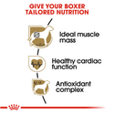 Royal Canin Breed Health Nutrition Boxer Adult Dry Dog Food