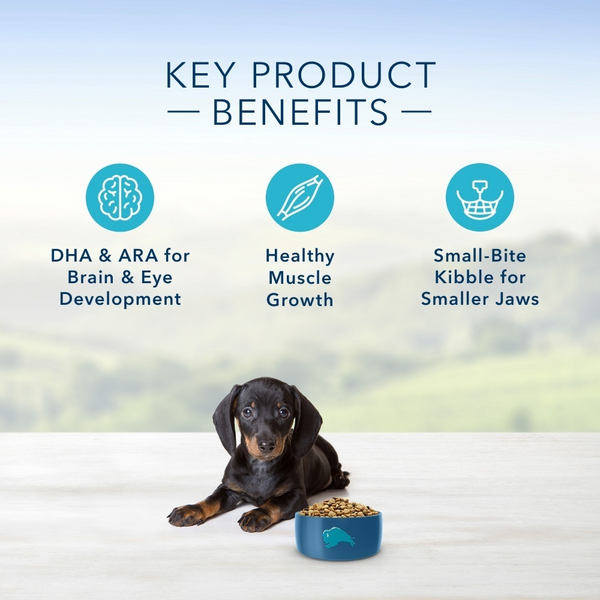 Blue Buffalo Life Protection Formula Small Breed Puppy Chicken & Oatmeal Recipe Dry Dog Food