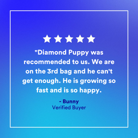 Diamond Puppy Dry Food