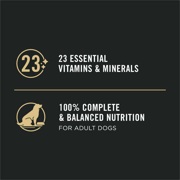 Purina Pro Plan Focus Sensitive Skin & Stomach Salmon & Rice Pate Canned Dog Food