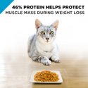 Purina Pro Plan Focus Weight Management Chicken & Rice Formula Dry Cat Food