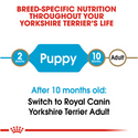 Royal Canin Yorkshire Terrier Puppy Dry Dog Food