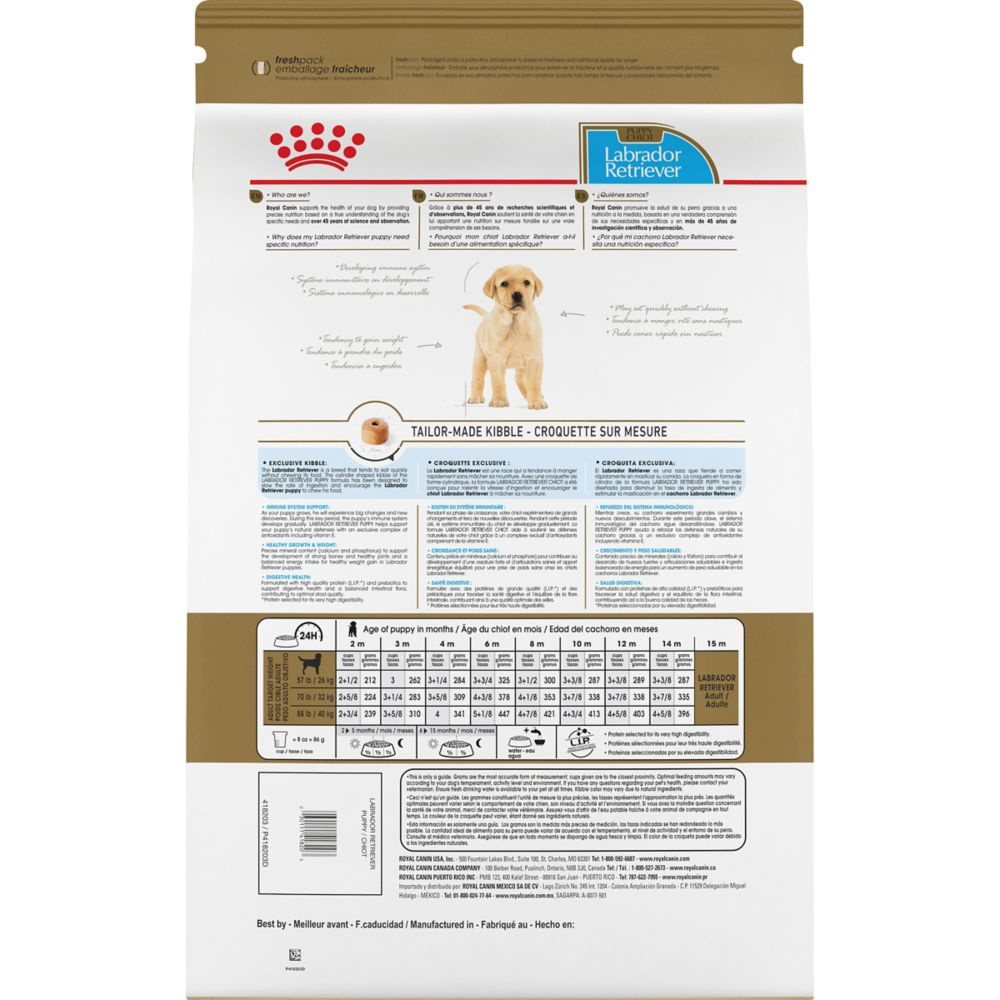 Royal Canin Breed Health Nutrition Labrador Retriever Puppy Dry Dog Food