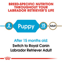 Royal Canin Breed Health Nutrition Labrador Retriever Puppy Dry Dog Food