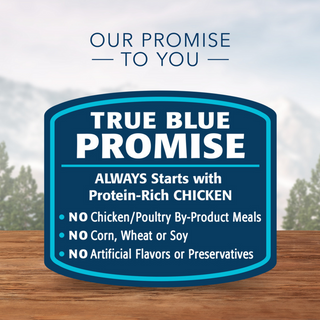 Blue Buffalo Wilderness High-Protein Grain-Free Beef & Chicken Grill Adult Canned Dog Food