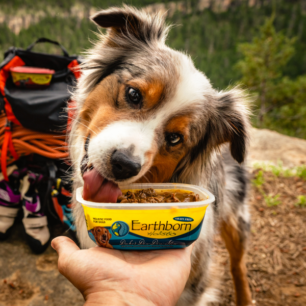 Earthborn Holistic Duke's Din Din Gourmet Dinners Grain Free Moist Dog Food Tubs