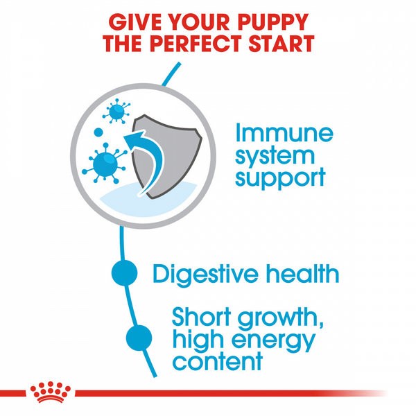 Royal Canin  Size Health Nutrition Medium Puppy Dry Dog Food