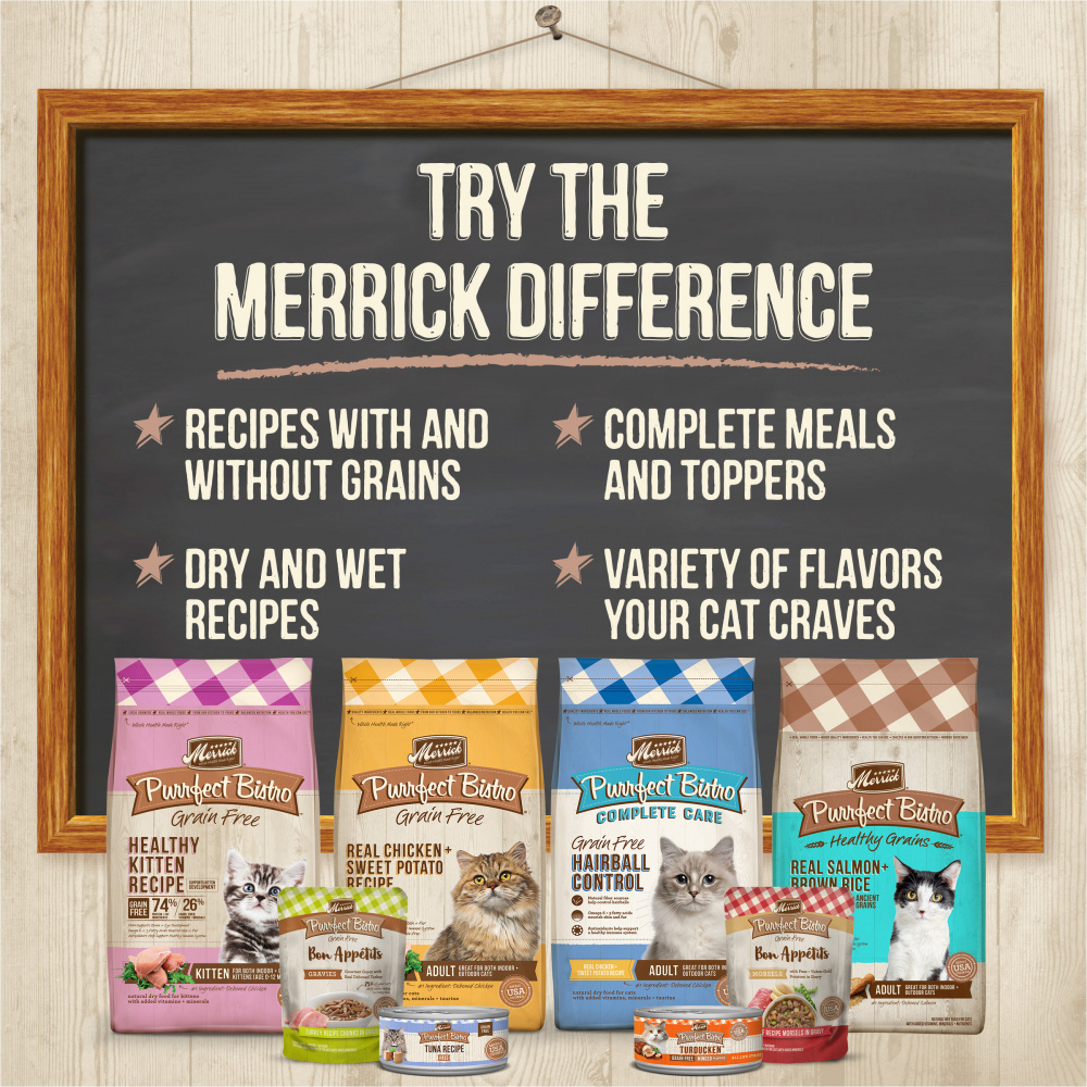 Merrick Purrfect Bistro Grain Free Premium Soft Canned Pate Adult Wet Cat Food, High Protein Beef Recipe