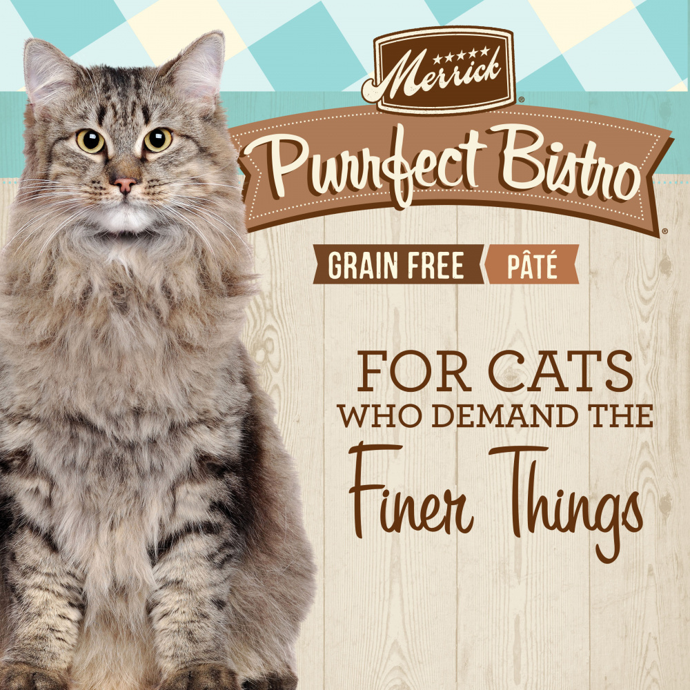 Merrick Purrfect Bistro Grain Free Premium Soft Canned Pate Adult Wet Cat Food, High Protein Salmon Recipe