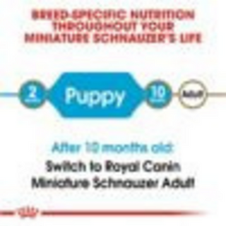 Royal Canin Breed Health Nutrition Miniature Schnauzer Puppy Dry Dog Food