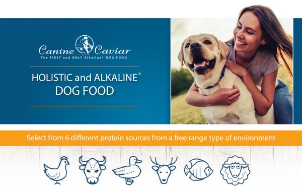 Canine Caviar Wild Ocean Holistic Grain Free Entree Dry Dog Food