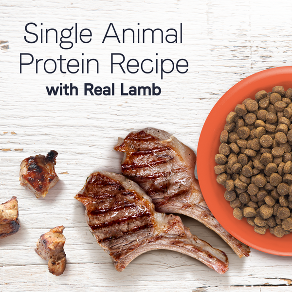 Canidae Under the Sun Grain Free Lamb Recipe Adult Dry Dog Food