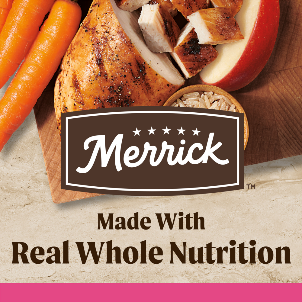 Merrick Healthy Grains Premium Dry Wholesome And Natural Kibble Small Breed Recipe