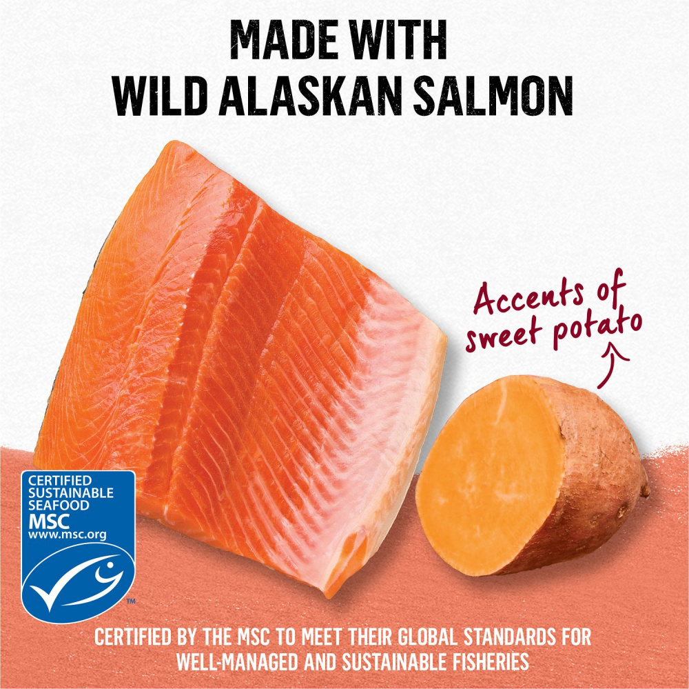 Purina Beyond Grain-Free Wild Alaskan Salmon & Sweet Potato Recipe in Gravy Canned Cat Food