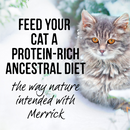 Merrick Backcountry Grain Free Gluten Free Premium High Protein Wet Cat Food, Turkey Recipe Cuts With Gravy